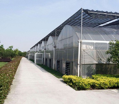 Multi-span greenhouse