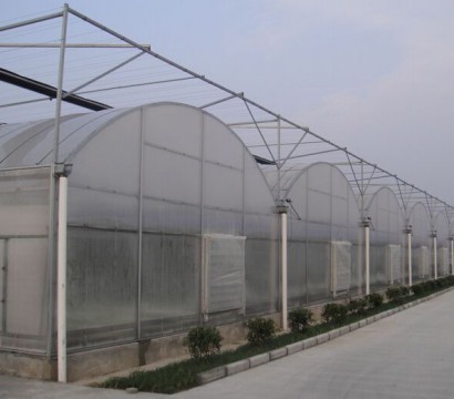 Multi-span greenhouse
